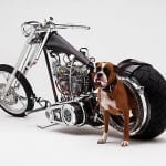 DP BBM Harley Davidson Keren  Unik dan Terbaru Android Gratis