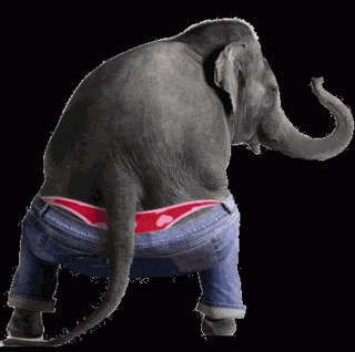 Dp bbm animasi gajah gokil