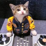 Gambar kucing nge DJ