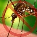Kumpulan Aplikasi Pengusir Nyamuk Paling Efektif