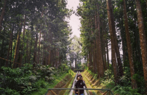 Wisata Alam Baturaden Adventure Forest (Hutan Pinus Purwokerto)