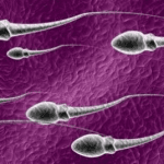 50 Manfaat Sperma Pria bagi Kesehatan dan Kecantikan